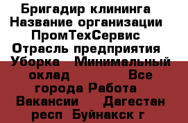 Бригадир клининга › Название организации ­ ПромТехСервис › Отрасль предприятия ­ Уборка › Минимальный оклад ­ 30 000 - Все города Работа » Вакансии   . Дагестан респ.,Буйнакск г.